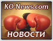 В Волгограде пройдет турнир по боксу